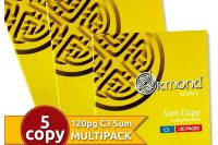 C3 Sum Copy 120 pg