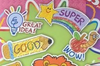 Teacher Reward Stickers 535 pce